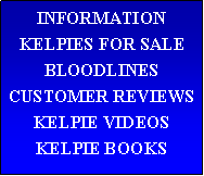 Kelpie information - Puppies for sale - Kelpie books - Kelpie reviews