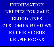BUTTONS TO PAGES