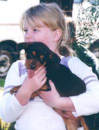 Noonbarra Kelpie as a pet for children