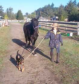 NOONBARRA JEZEBEL AND HORSE