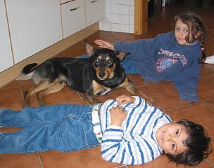 Noonbarra Kelpie as a pet for children: Noonbarra Scott and Mate in Germany
