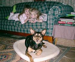 Noonbarra Maggie: Noonbarra Kelpie as a pet for children