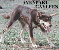 AVENPART GAYLEEN