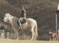 Kelpies - Stephen with faithful Working Kelpie, Valerie