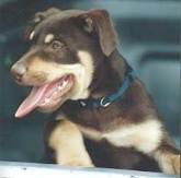 NOONBARRA TANK EXPORTED TO USA