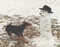 IT DOESN'T HAPPEN OFTEN IN OUR AREA BUT IT CAN SNOW IN AUSTRALIA